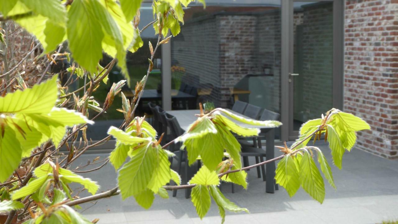 Camilles House Villa Wijtschate Dış mekan fotoğraf
